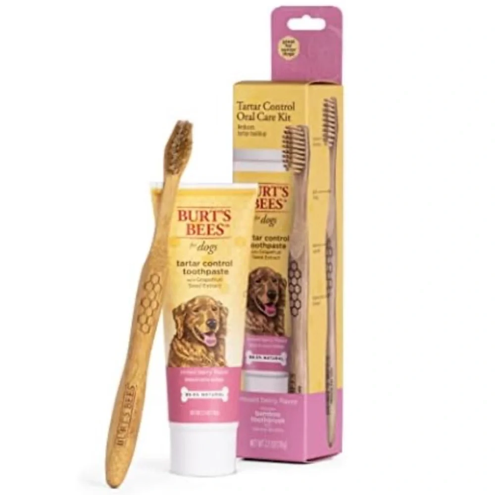 Dog Toothbrush and Toothpaste from Burt's Bees, Berry Flavor